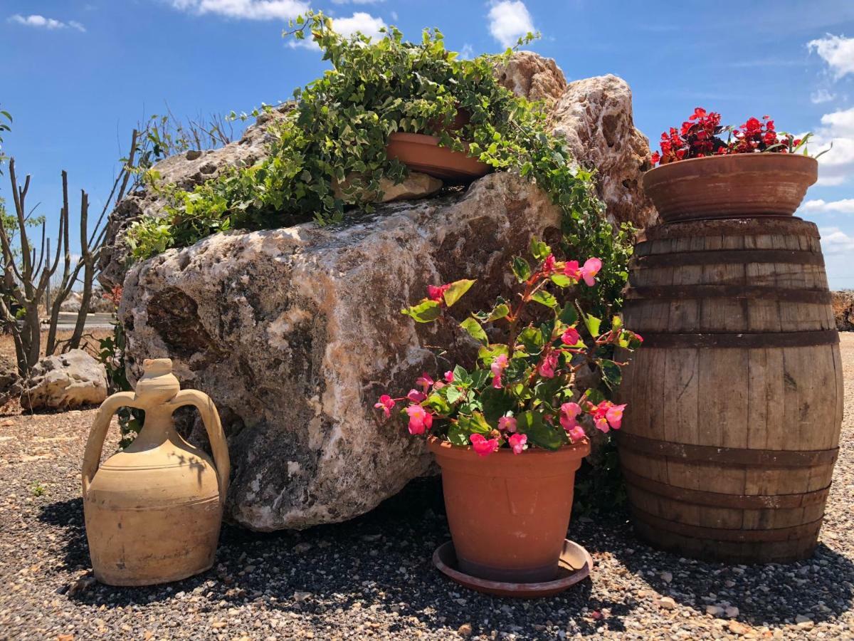Masseria Paglieroni Martina Franca Kültér fotó